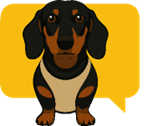 Hiszpański z Jamniczorem Logo